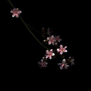 美女裸体扣阴道视频网站
